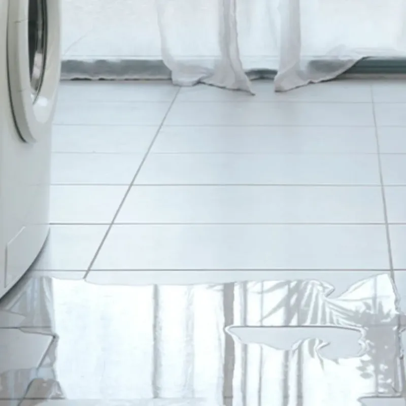 Appliance Leak Cleanup in Kalifornsky, AK