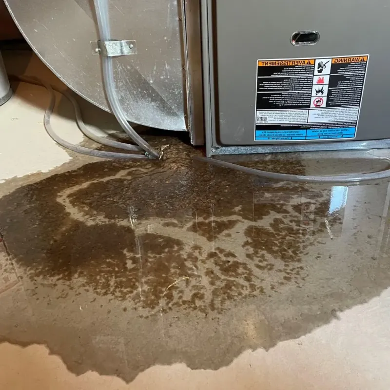Pipe Burst and Leak Restoration in Kalifornsky, AK
